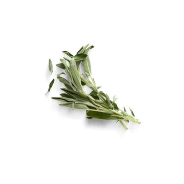 Fresh Sage per bunch at zucchini
